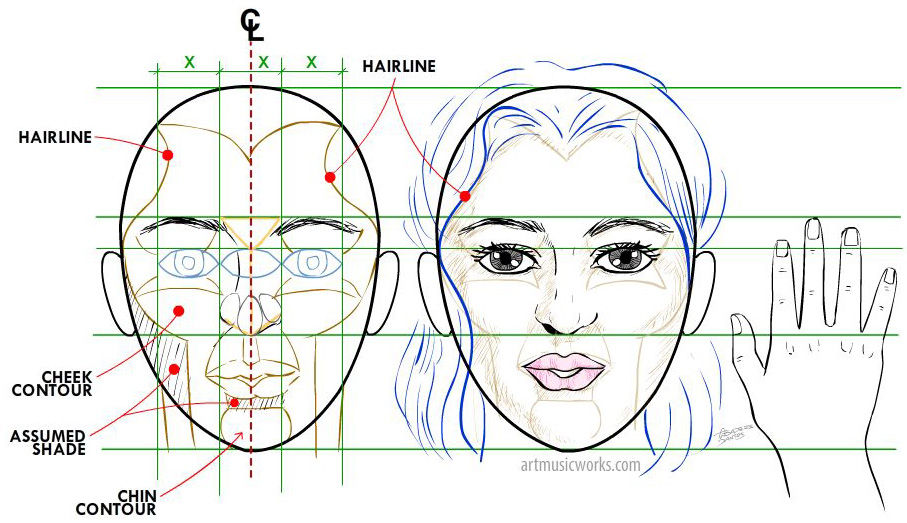 facial plane diagram